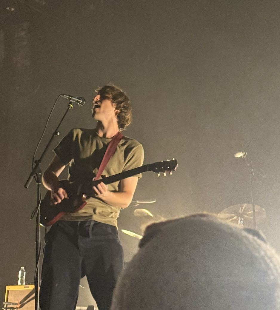 au pays du cocaine (geese cover) artwork